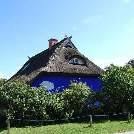 Apartment Ferienwohnung Hiddensee In Vitte