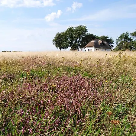 Ferienwohnung Hiddensee In