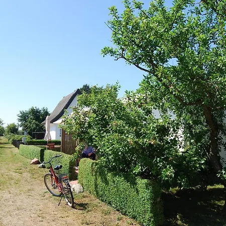 Ferienwohnung Hiddensee In